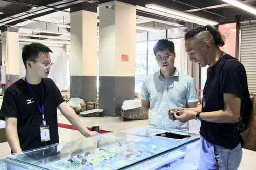 天然翡翠交流中心 聚寶谷翡翠公盤(pán)與文化藝術(shù)的完美融合