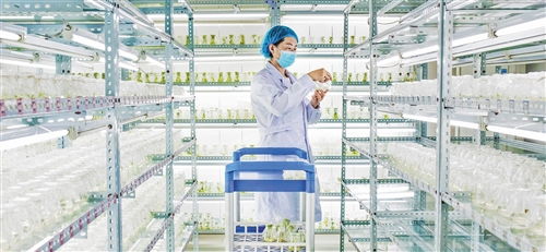 經濟日報多媒體數字報刊